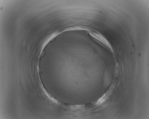 X0000062830813200601201611