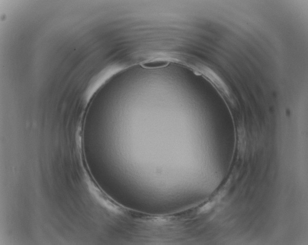 X0000062830814200601201611