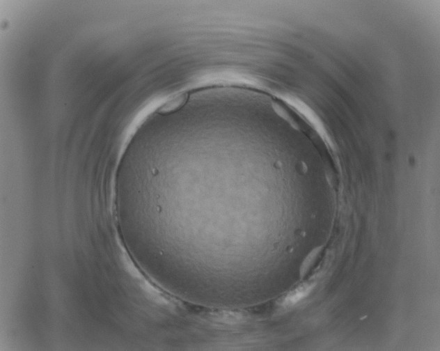 X0000062830815200601201611