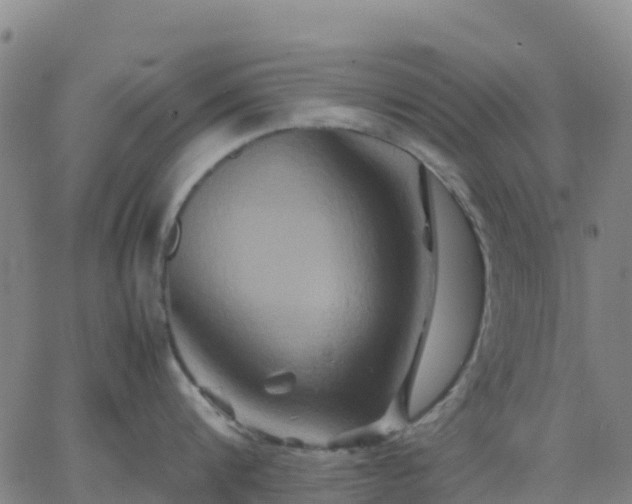 X0000062830816200601201611