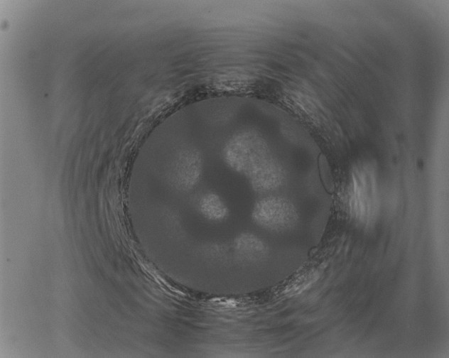 X0000062830817200601201610