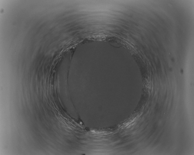 X0000062830818200601201610