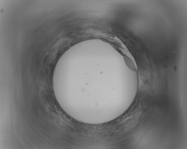 X0000062830820200601201610