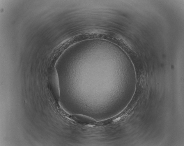 X0000062830821200601201610