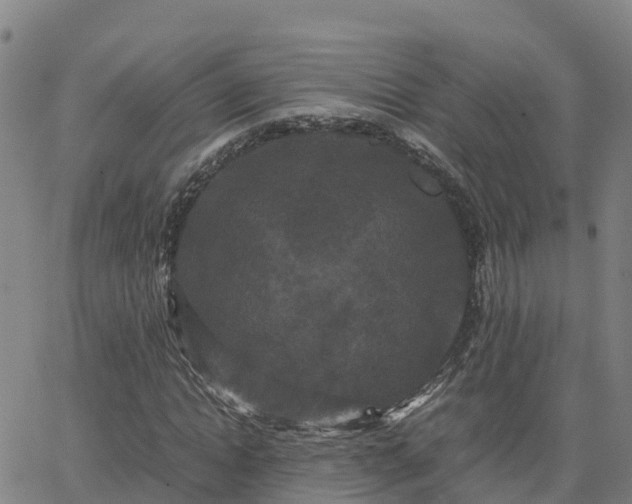 X0000062830822200601201610