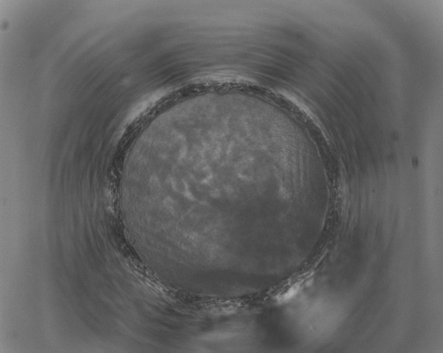 X0000062830823200601201610