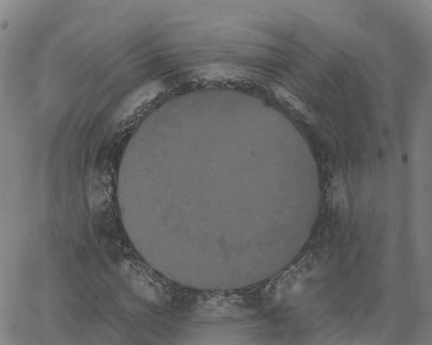 X0000062830824200601201610