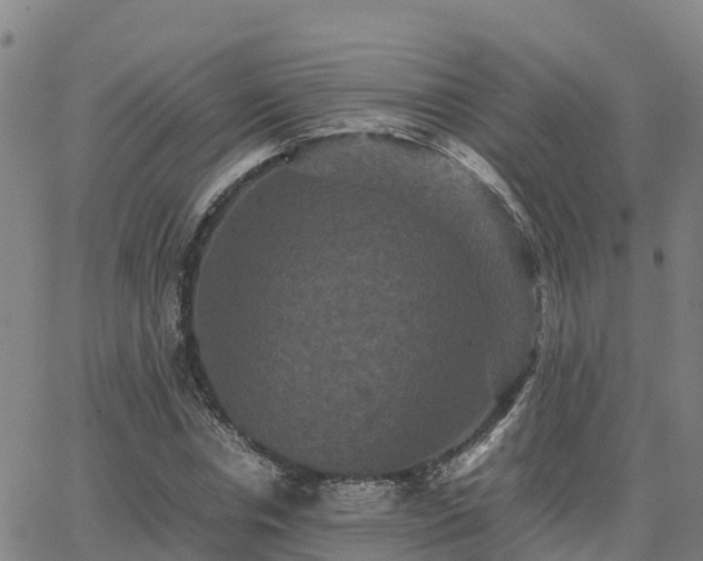 X0000062830826200601201610