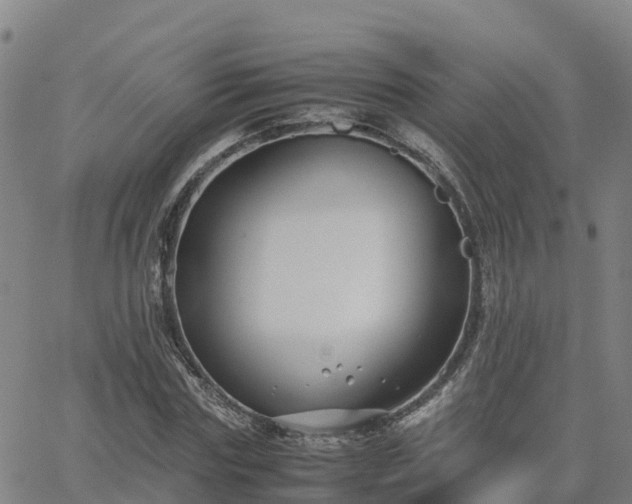 X0000062830827200601201610