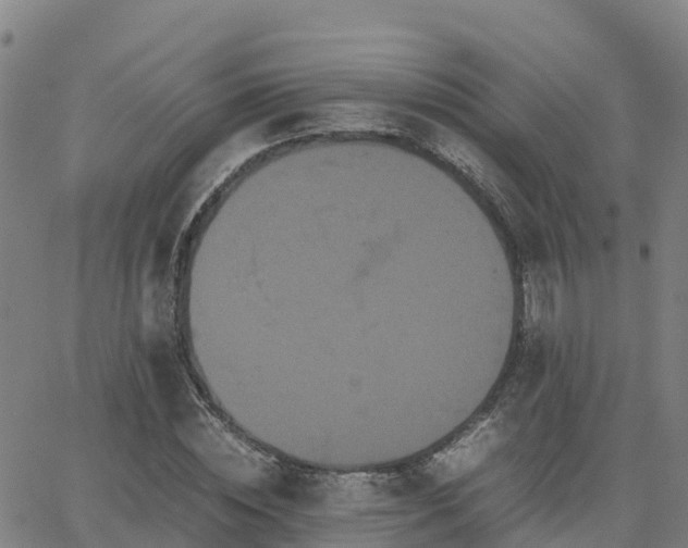 X0000062830828200601201610