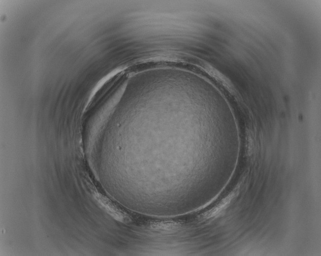 X0000062830830200601201610