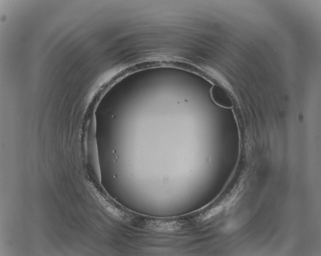 X0000062830831200601201610