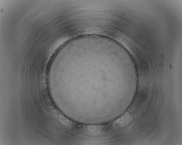 X0000062830832200601201610