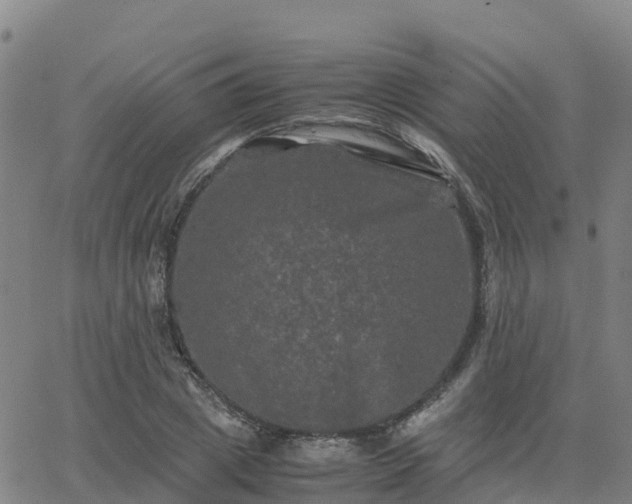 X0000062830833200601201610