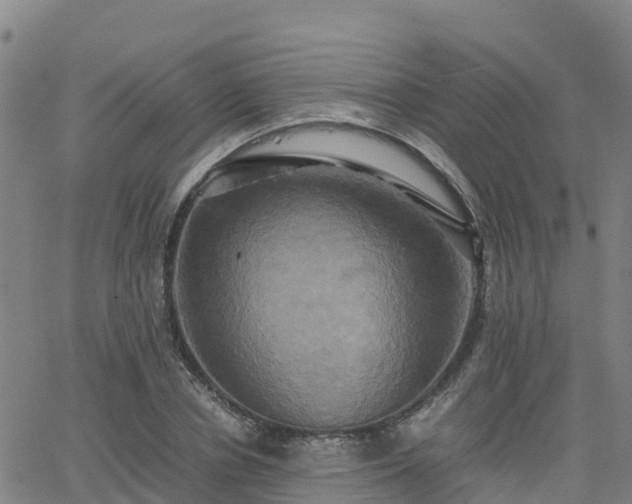 X0000062830834200601201610