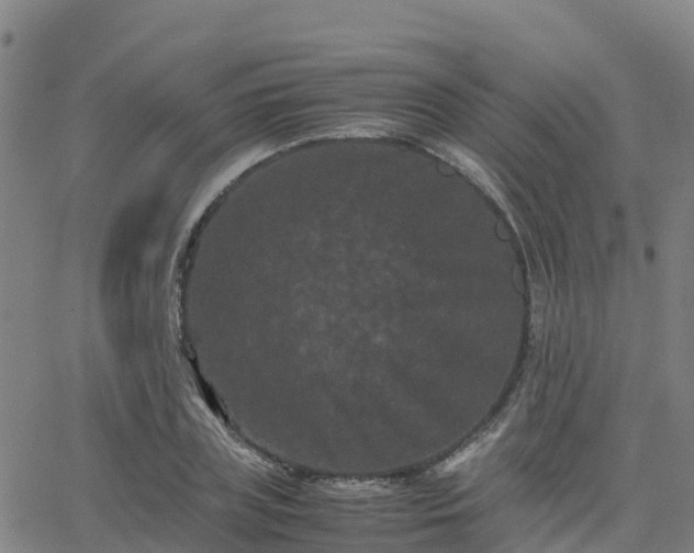 X0000062830835200601201610