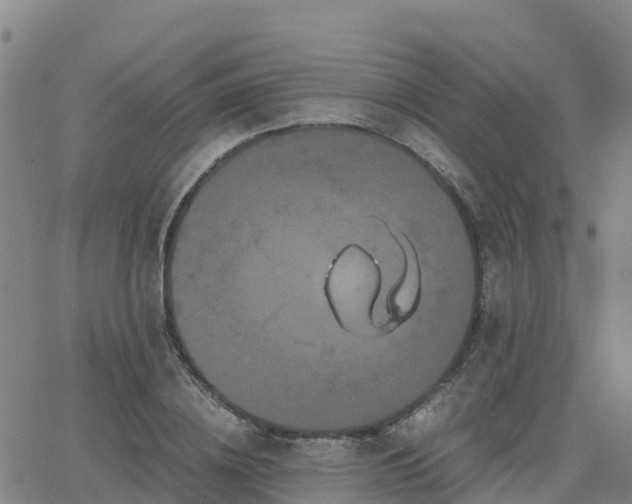 X0000062830836200601201610