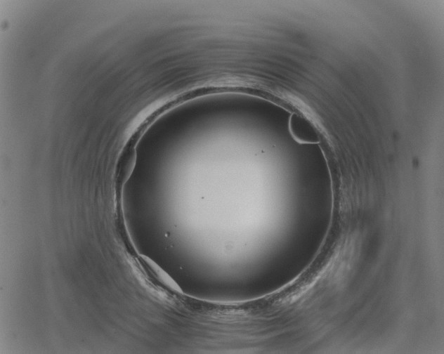 X0000062830837200601201610