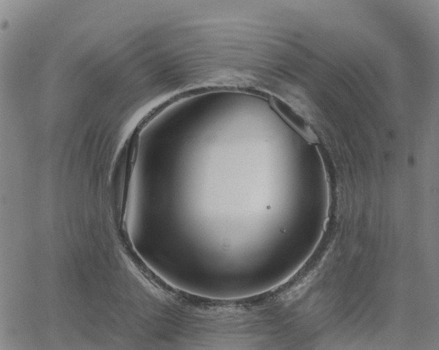 X0000062830838200601201610