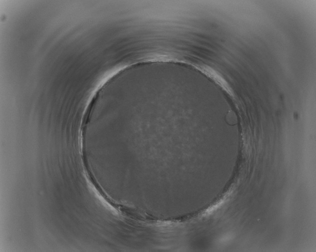 X0000062830839200601201611