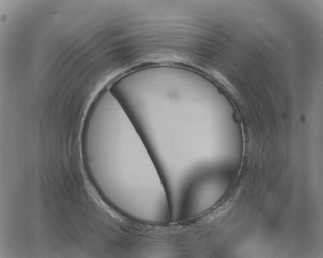 X0000062830840200601201611