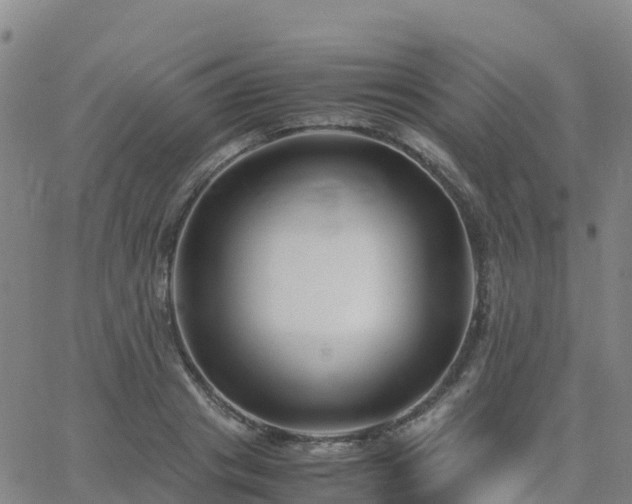 X0000062830841200601201611