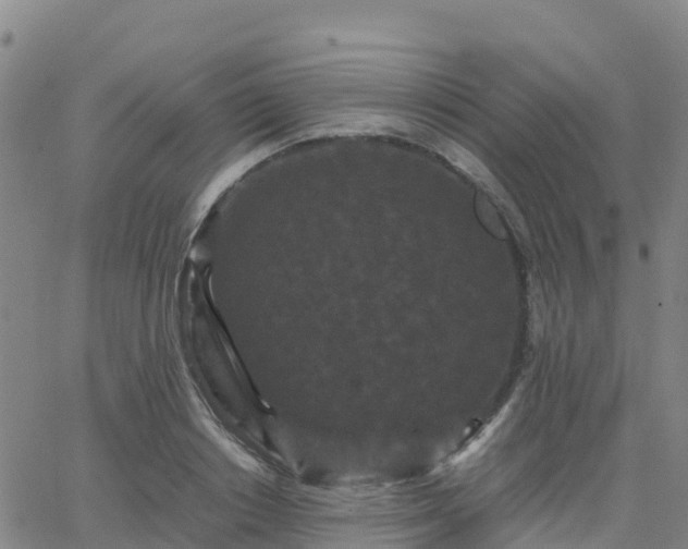 X0000062830842200601201611