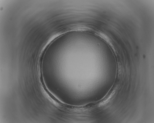 X0000062830843200601201611