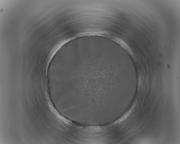 X0000062830844200601201611