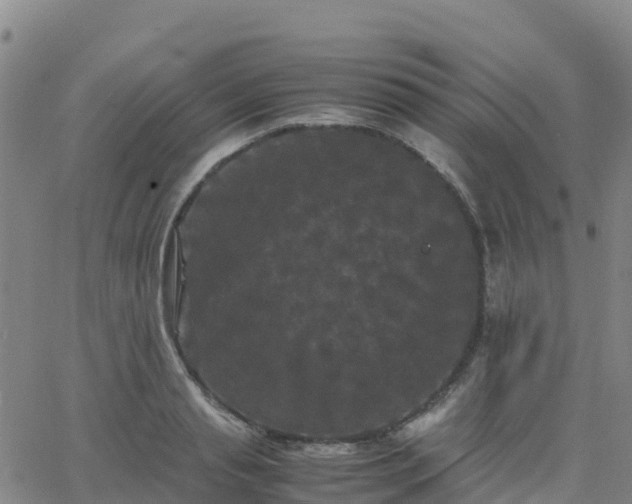 X0000062830845200601201611