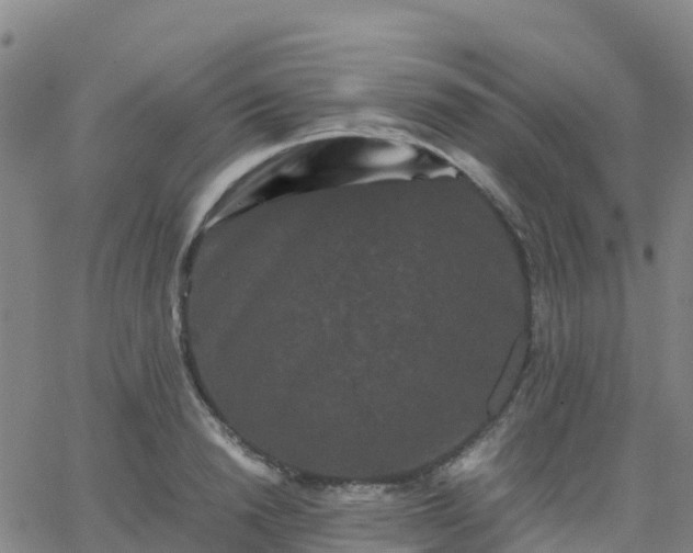 X0000062830846200601201611