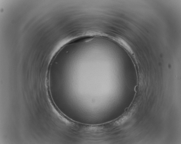 X0000062830847200601201611