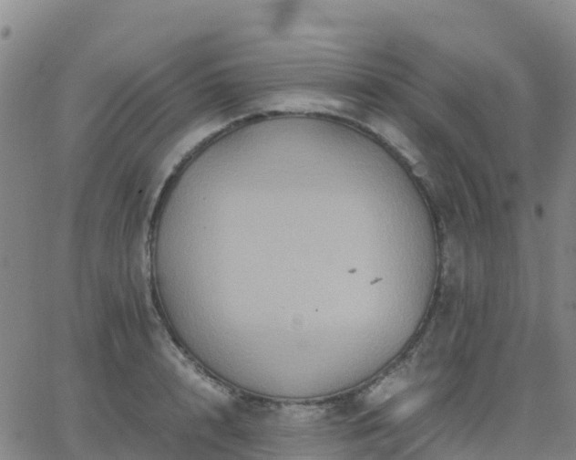 X0000062830848200601201611