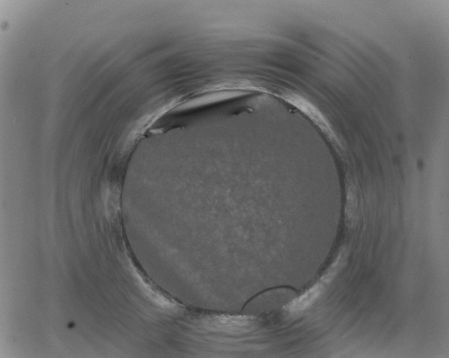 X0000062830849200601201611