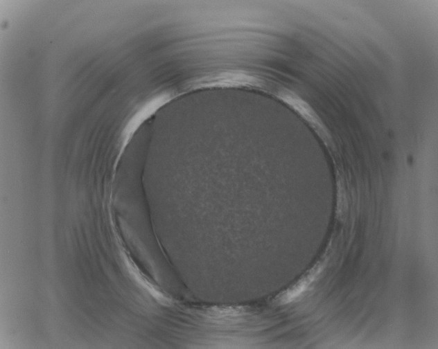 X0000062830850200601201611