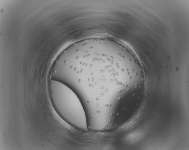 X0000062830851200601201611