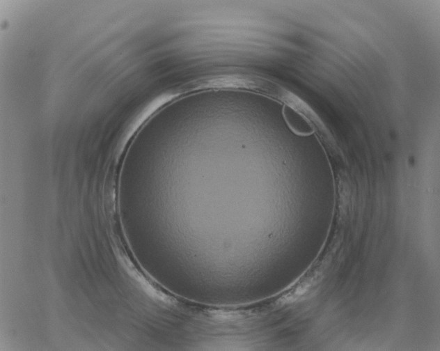 X0000062830852200601201611