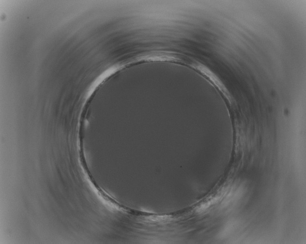 X0000062830853200601201611