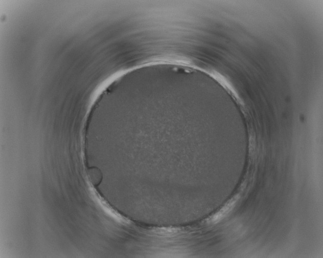 X0000062830854200601201611