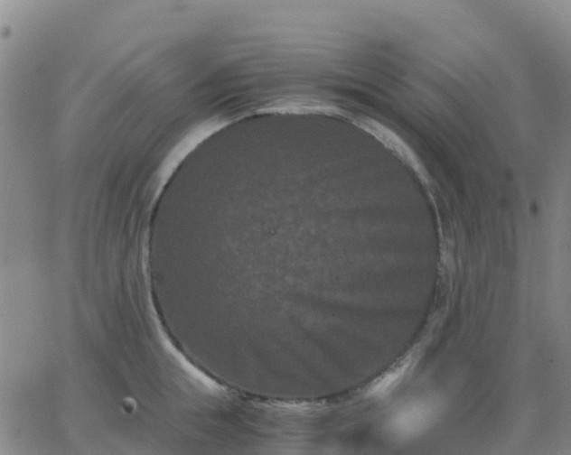 X0000062830855200601201611