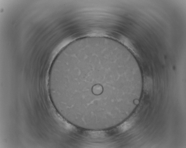 X0000062830856200601201611