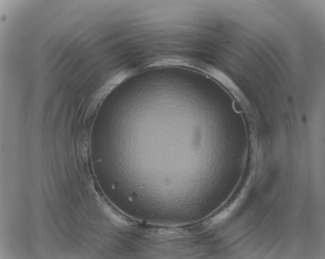 X0000062830857200601201611