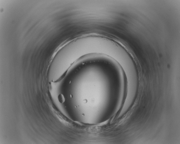 X0000062830858200601201611