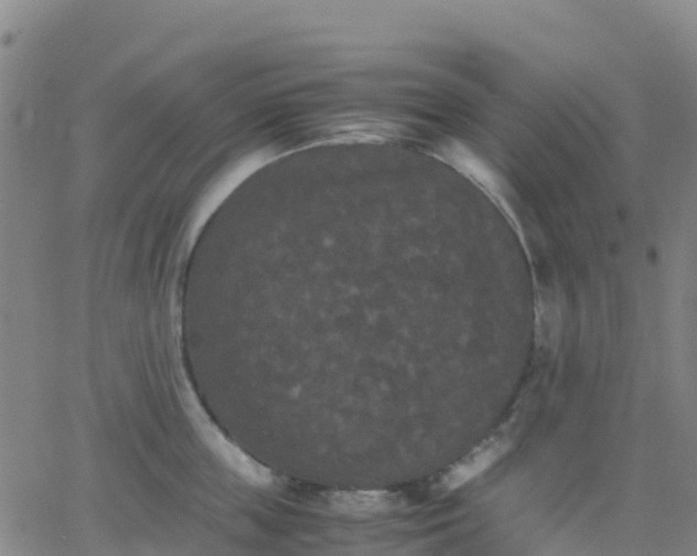 X0000062830859200601201611