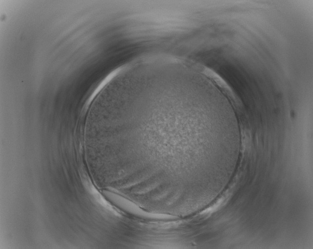 X0000062830860200601201611