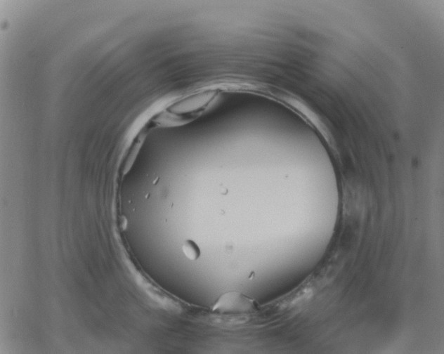 X0000062830861200601201611