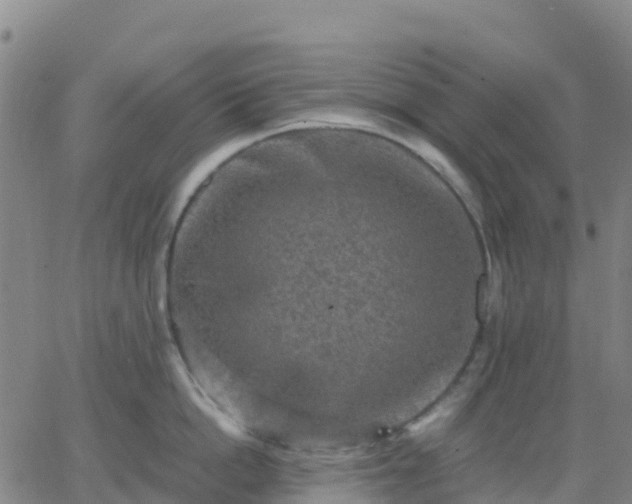 X0000062830862200601201611