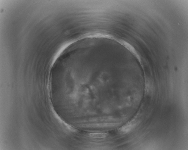 X0000062830863200601201611