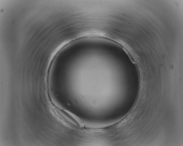 X0000062830864200601201611