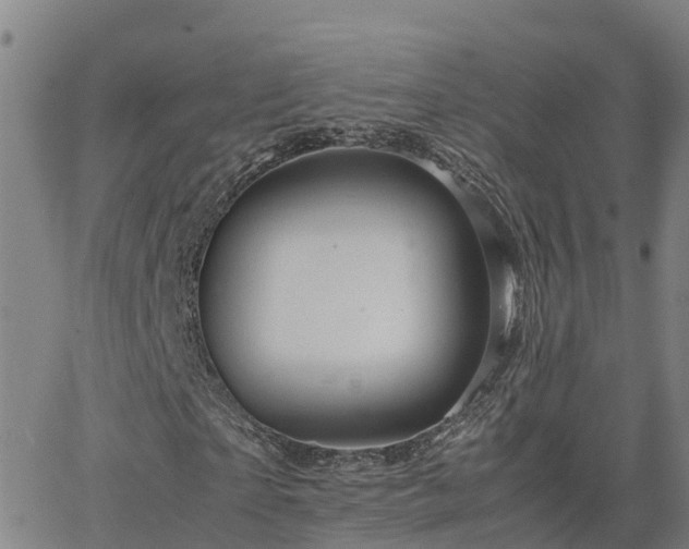 X0000062830865200601201610